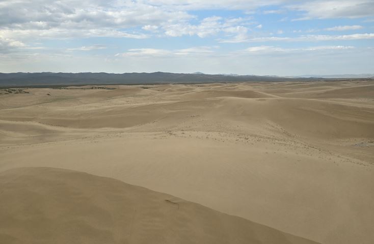 보오르 엘스.JPG