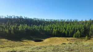 오랑터거 (7).jpg